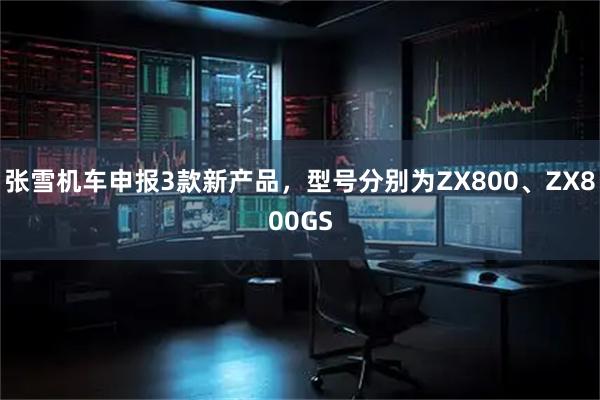 张雪机车申报3款新产品,型号分别为ZX800、ZX800GS