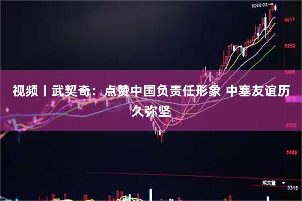 视频丨武契奇:点赞中国负责任形象 中塞友谊历久弥坚